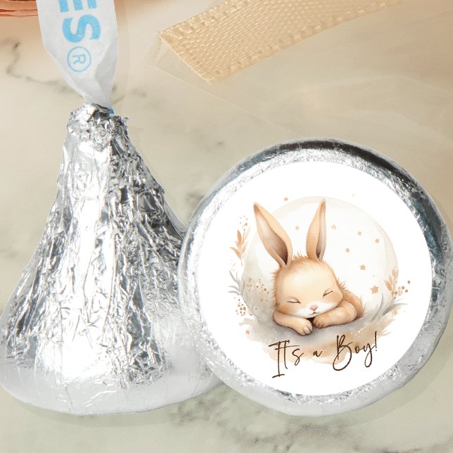 Snuggle Bunny Baby Shower Hershey®'s Kisses® (Creator Uploaded)