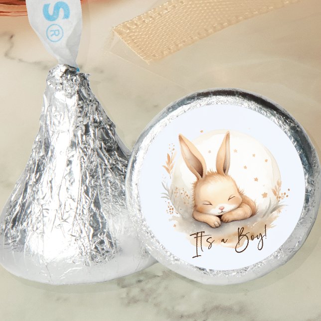 Snuggle Bunny It's A Boy Hershey®'s Kisses® (Creator Uploaded)