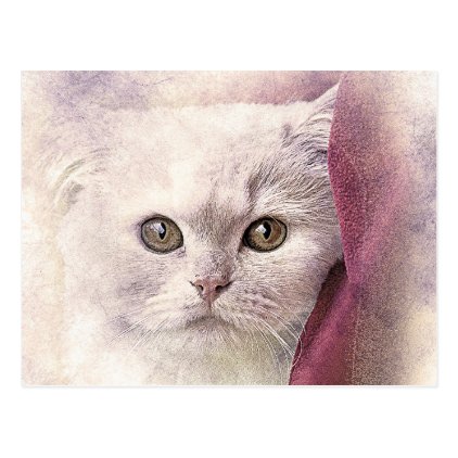 Snuggle Time Kitty | Abstract | Watercolor Postcard