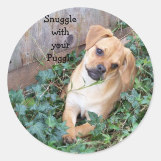 Snuggle w/ur Puggle Sticker