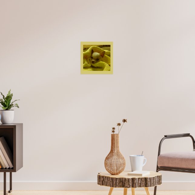 Snuggled Chihuahua Puppy Poster (Living Room 3)