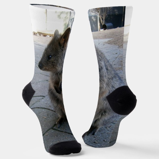 "Snuggles in Australia: A Cuddly Gray Quokka" Socks (Angled)
