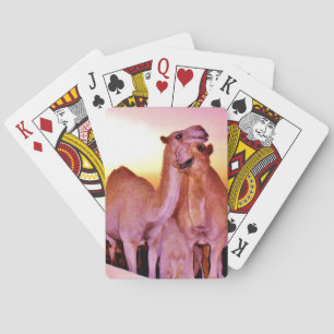 Snuggling Camels Poker Cards
