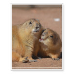 Snuggling Prairie Dogs Temporary Tattoos