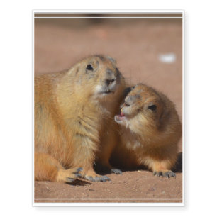 Snuggling Prairie Dogs Temporary Tattoos