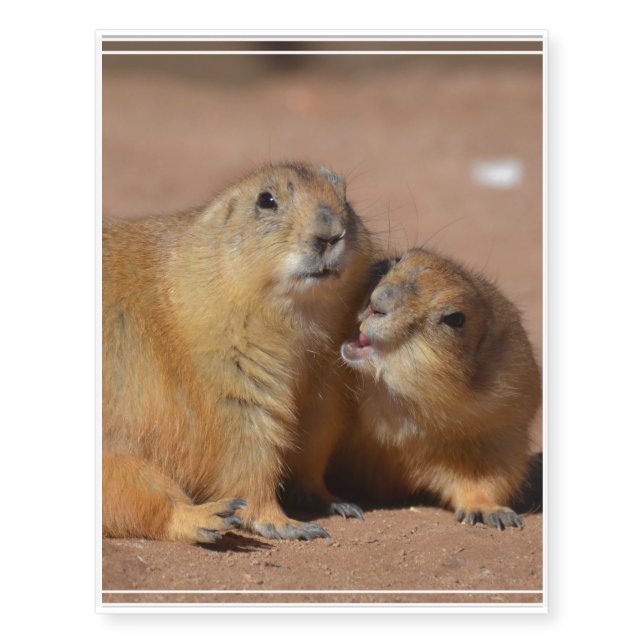 Snuggling Prairie Dogs Temporary Tattoos (Front)