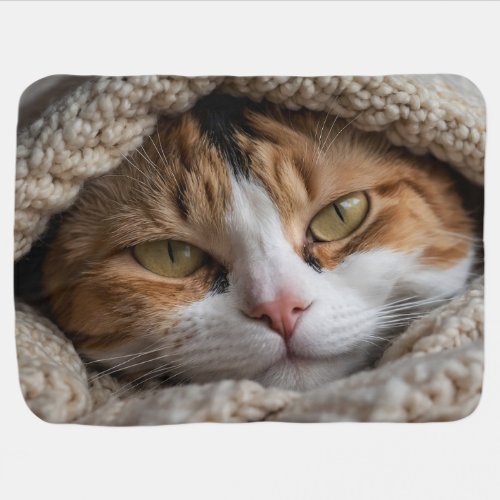 Snuggly Calico Cat and Blanket