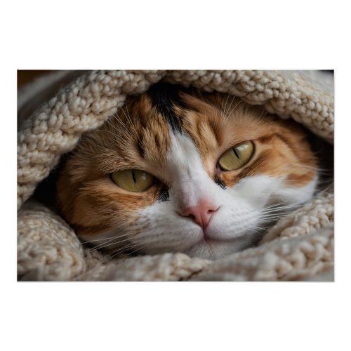 Snuggly Calico Cat and Blanket Poster