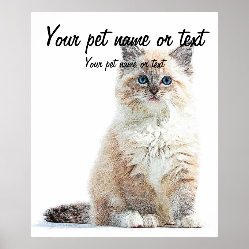 So Adorable and Cute Ragdoll Cat Poster