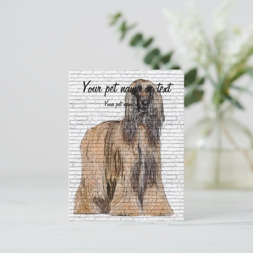So Beautiful Afghan Hound Dog Postcard