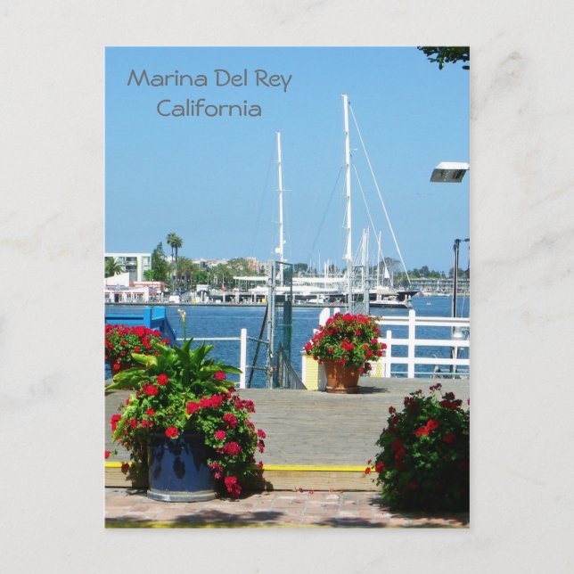 So Beautiful Marina Del Rey Postcard! Postcard (Front)