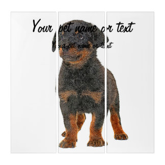 So Cute, Puppy Rottweiler Dog Triptych