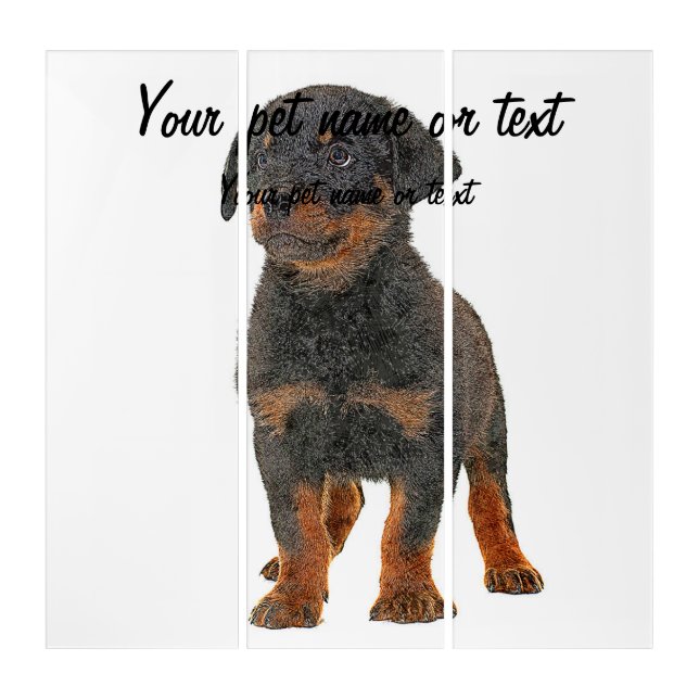 So Cute, Puppy Rottweiler Dog Triptych (Front)