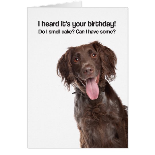 So I Smell Cake? Can I Have Some? (GWP) - Birthday Card | Zazzle