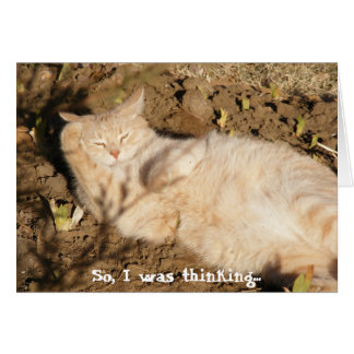 So, I was thinking... (Catnap) Cards
