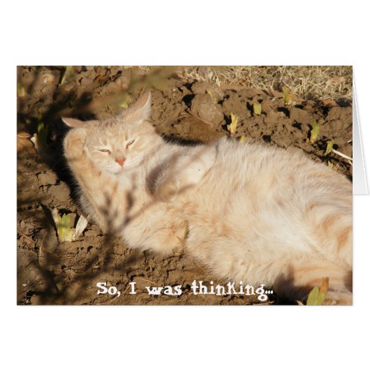 So, I was thinking... (Catnap) Cards (Front Horizontal)