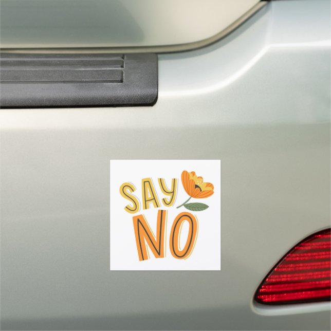 So No Car Magnet (In Situ)
