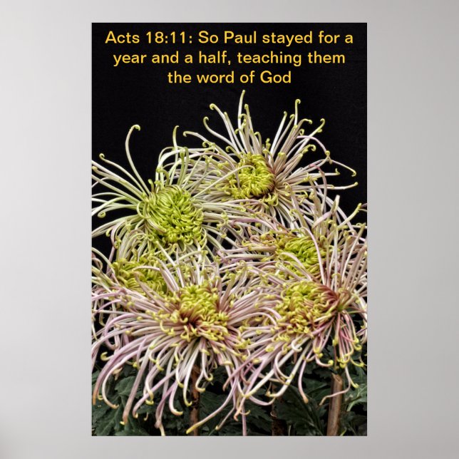 So Paul stayed for a year and a half Poster (Front)