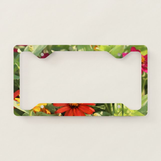 So pretty it's a Zin License Plate Frame (Front)
