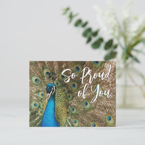 So Proud of You Beautiful Peacock Photo Postcard