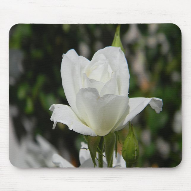 So pure.... mouse pad (Front)