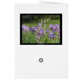 So ready for Spring ~ 21 (Back)