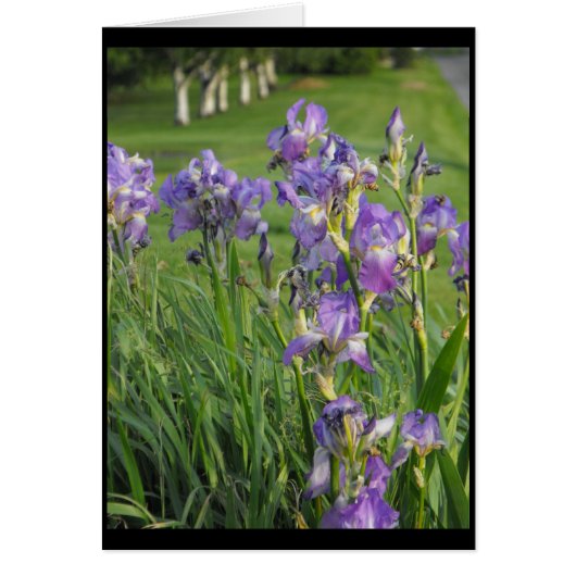 So ready for Spring ~ 21 (Front)