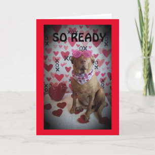 SO READY TO CELEBRATE OUR *ANNIVERSARY* CARD