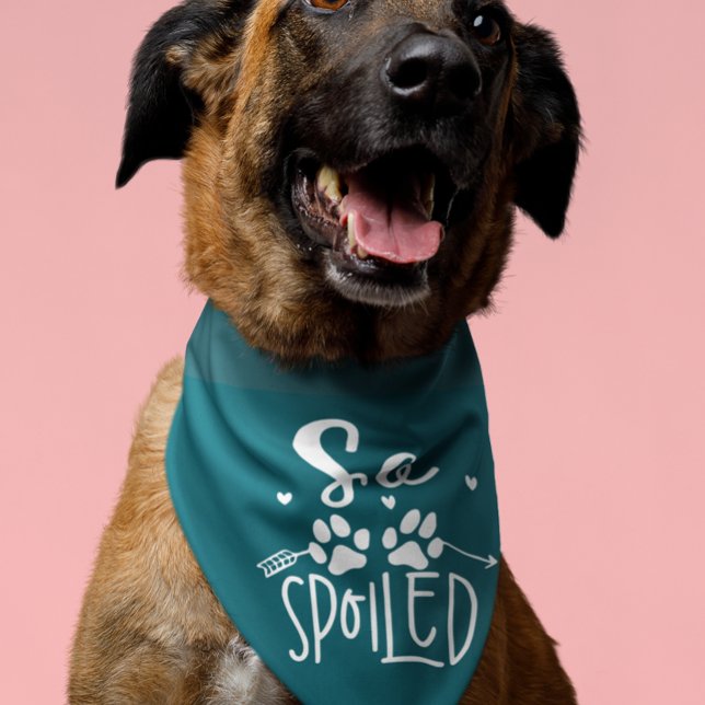 So Spoiled  Pet Bandana Collar (Creator Uploaded)
