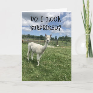 *SO SURPRISED **20th** BIRTHDAY!!!!* Card