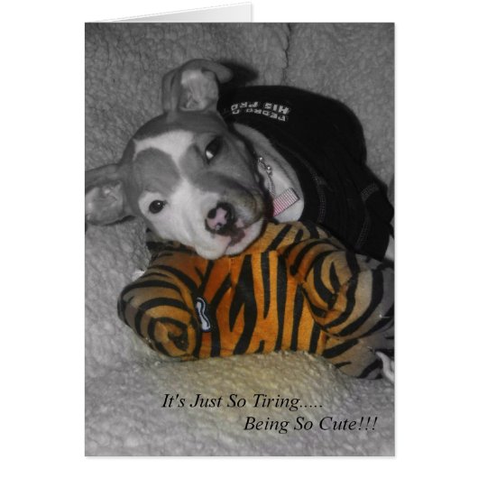 So Tiring Being So Cute! (Front)