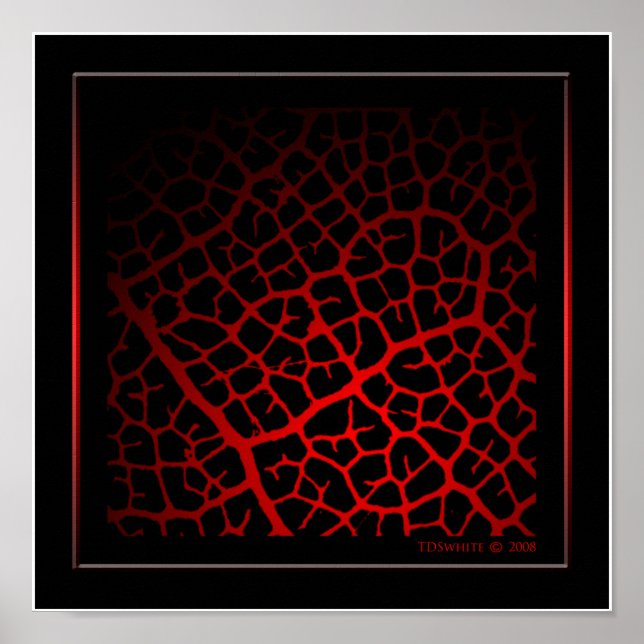 So Vein Poster (Front)