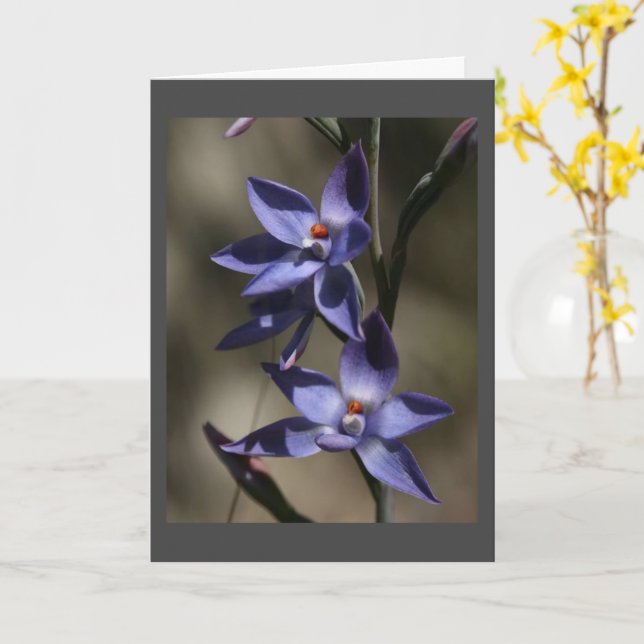 SO "VERY SORRY" FOR "YOUR LOSS" CARD (Yellow Flower)