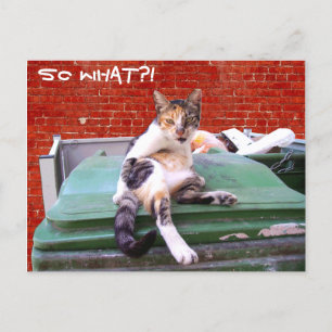 So what postcard