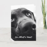 So What&#39;s New? Hello Greeting Card at Zazzle