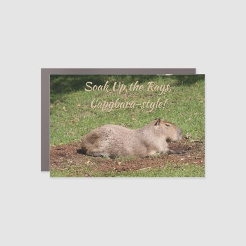 Soak Up the Rays Capybara_style Car Magnet