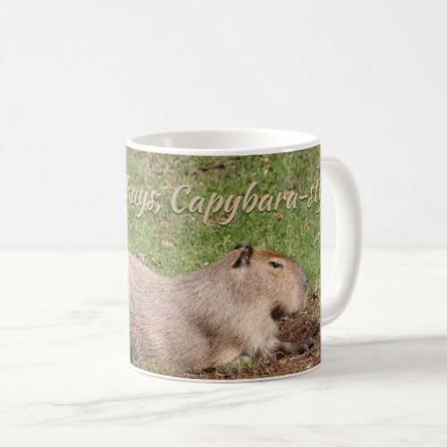 Soak Up the Rays Capybara_style Coffee Mug