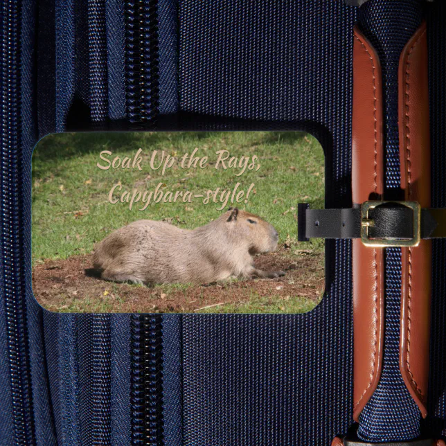 Soak Up the Rays, Capybara-style! Luggage Tag (Front Insitu 4)
