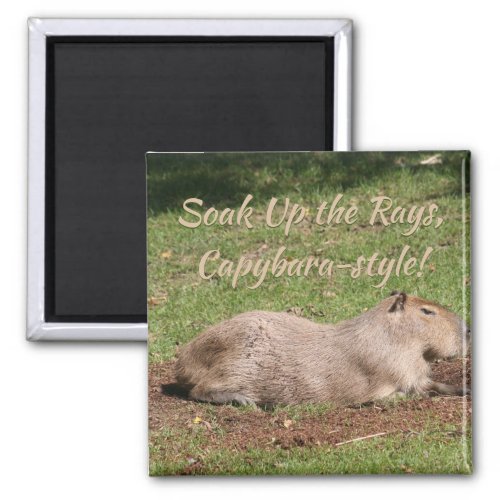 Soak Up the Rays Capybara_style Magnet