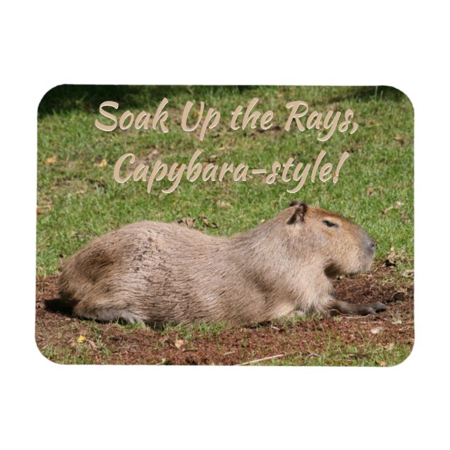 Soak Up the Rays, Capybara-style! Magnet (Horizontal)