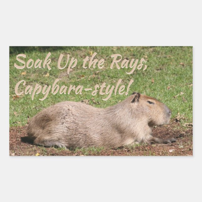 Soak Up the Rays, Capybara-style! Rectangular Sticker (Front)