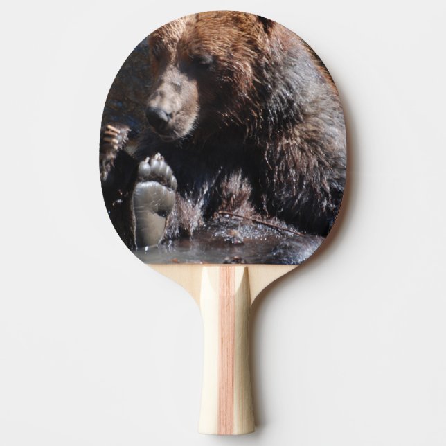 Soaking Bear Ping-Pong Paddle (Front)