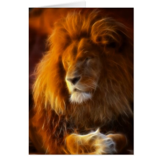 Soaking Up the Sun, King of the Jungle Lion II (Front)