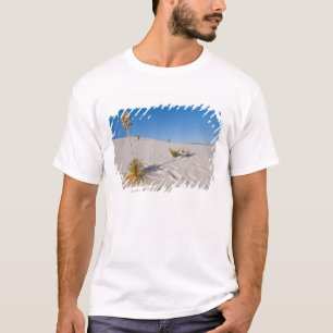 Soaptree Yucca, long Shadow, Transverse Dunes T-Shirt