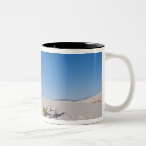 Soaptree Yucca long Shadow Transverse Dunes Two_Tone Coffee Mug