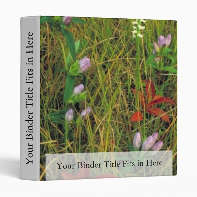 Soapwort gentian and Nodding ladies tresses Binder (Front/Spine)