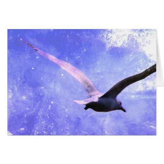 Soar All Occasions (Front Horizontal)