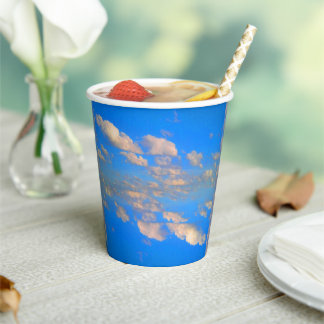 Soar, For More Paper Cups