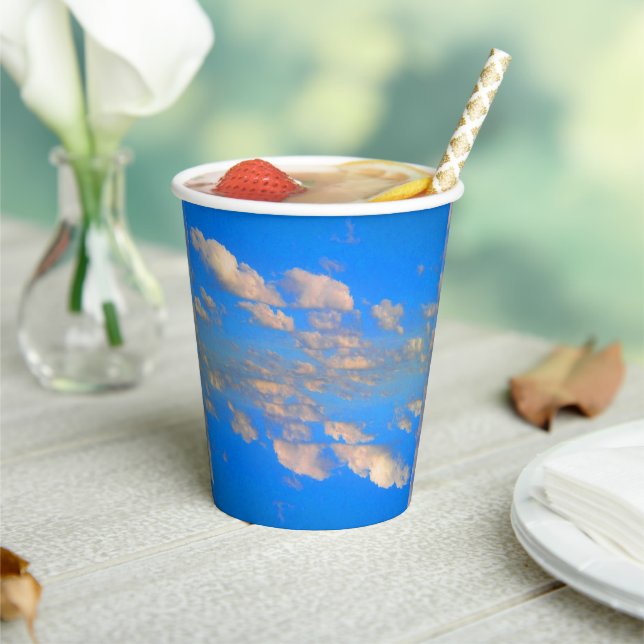 Soar, For More Paper Cups (Insitu)