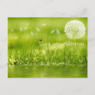 Soar into Adventure Postcard